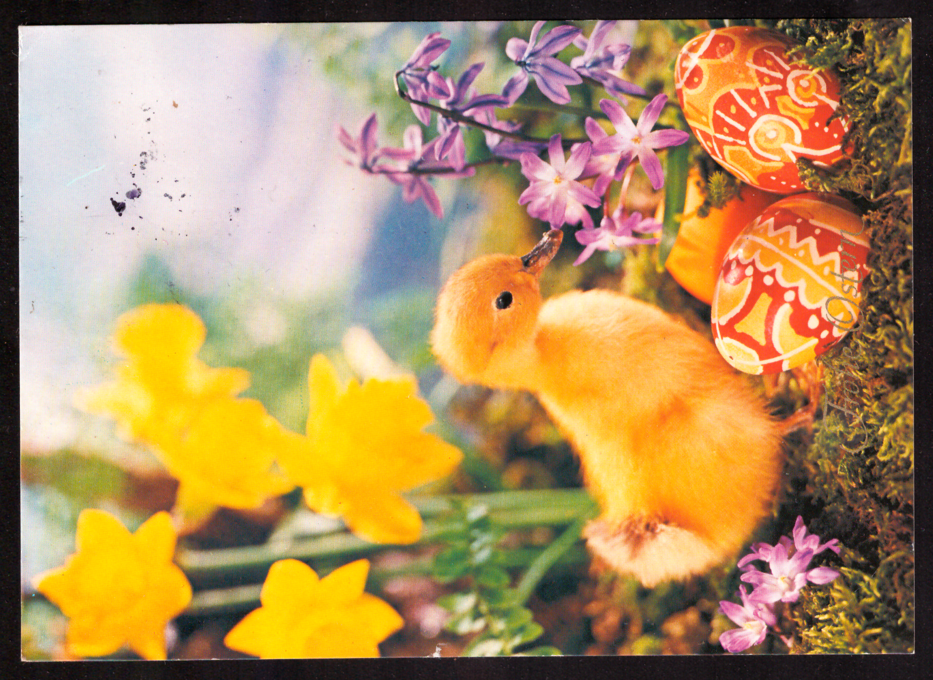Easter greeting with rabbit and painted eggs