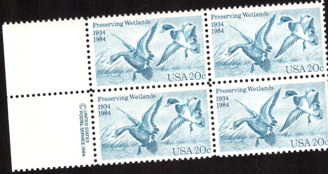 1984 Preserving Wetlands