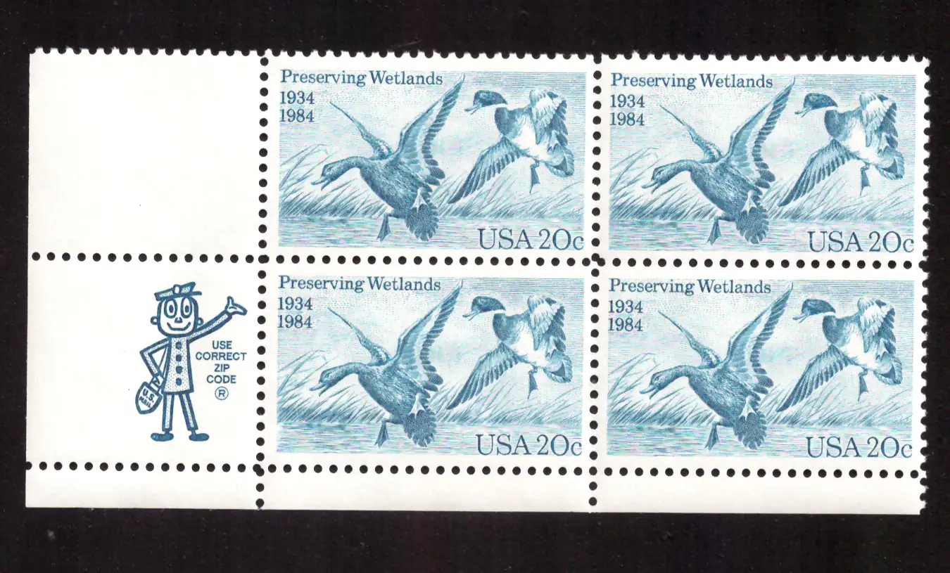 1984 Preserving Wetlands