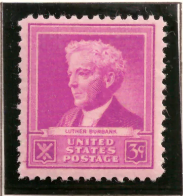 Famous Americans – Luther Burbank