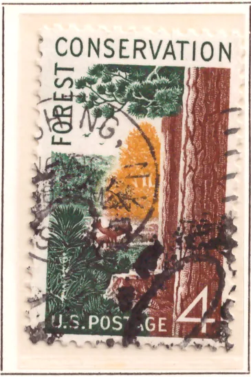 Waldschutz