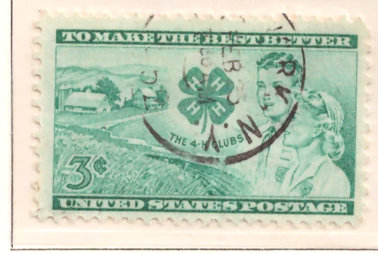 4-H-Klubs