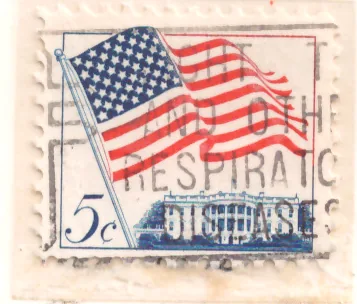 American Flag over White House