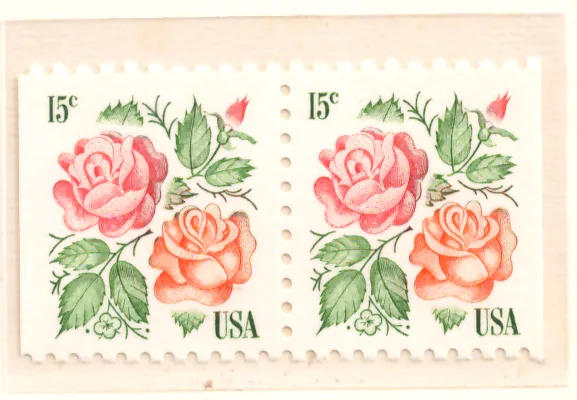 Christmas Roses – horizontal pair