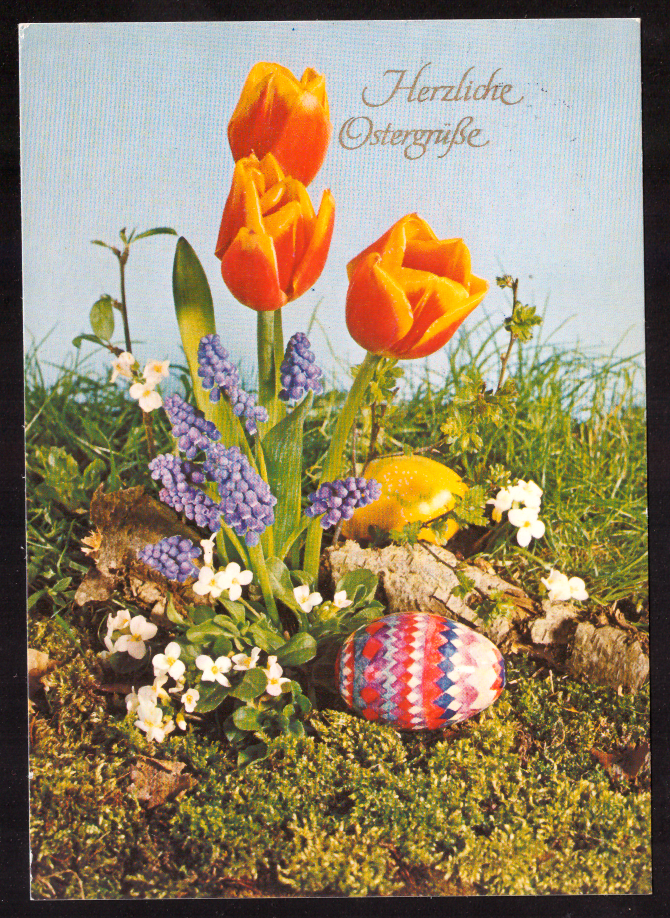 Easter greeting with tulips and egg