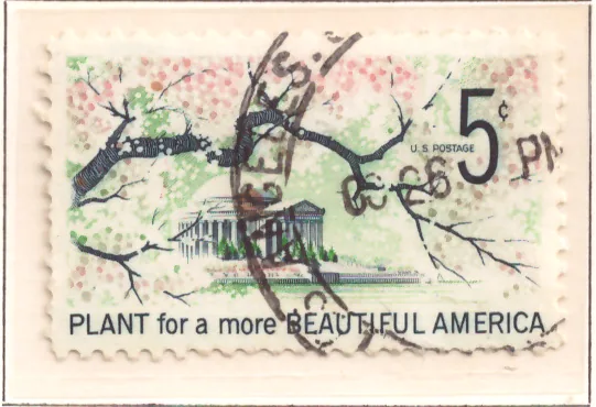 Beautify America